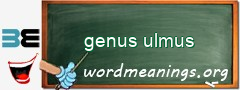 WordMeaning blackboard for genus ulmus